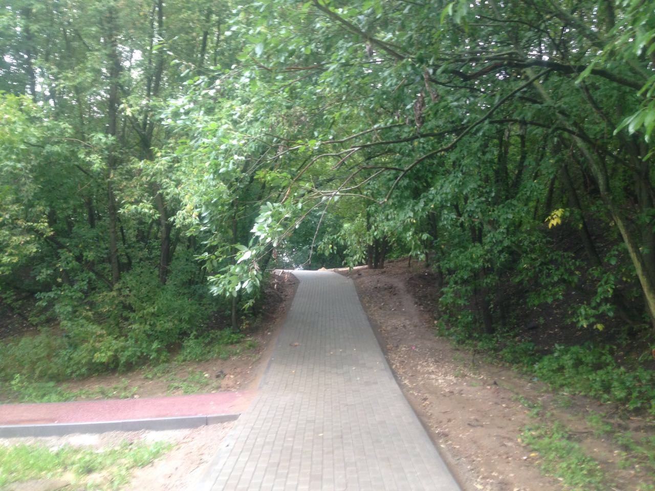 Выполнено