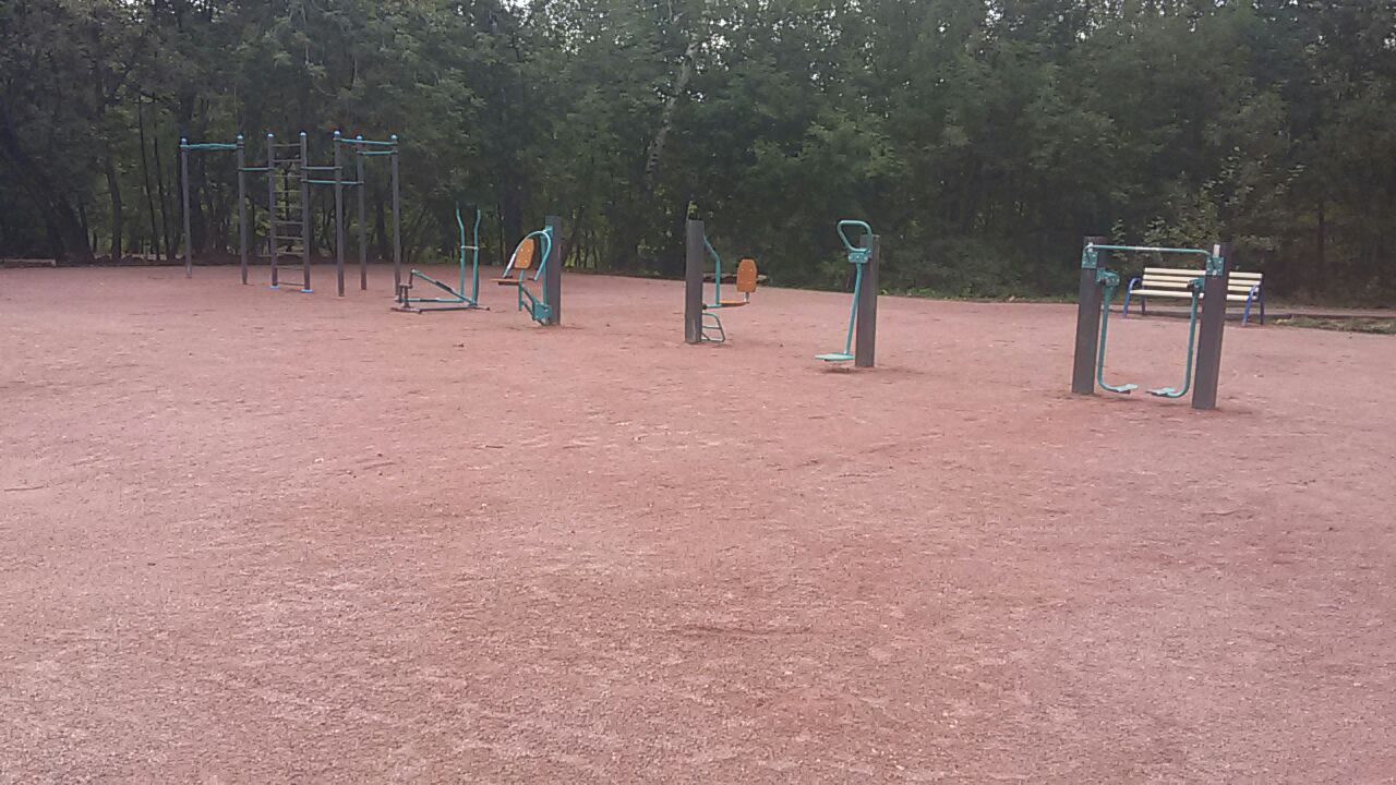 Выполнено