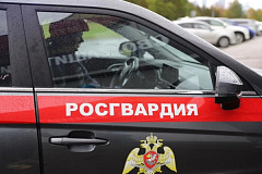 Московские росгвардейцы задержали мужчину, объявленного в федеральный розыск 